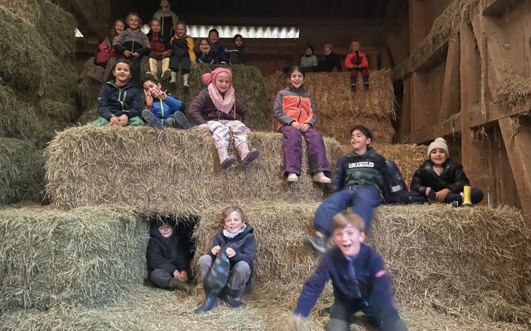 Klassen 2abc bei Bauer Luber